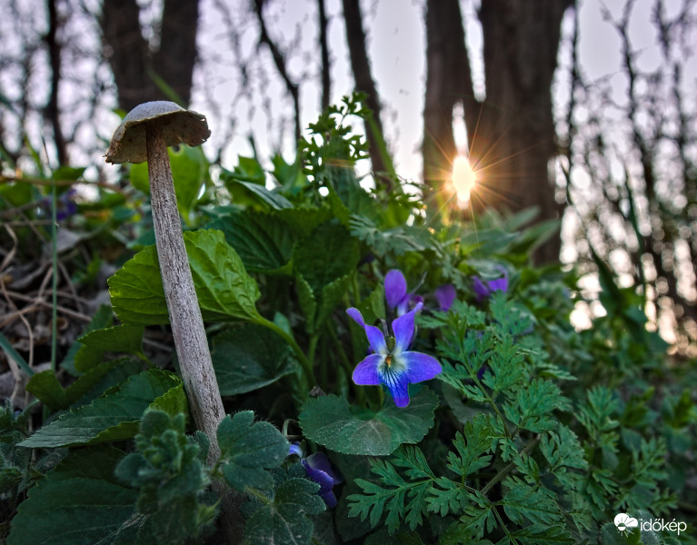 Áprilisi társaság