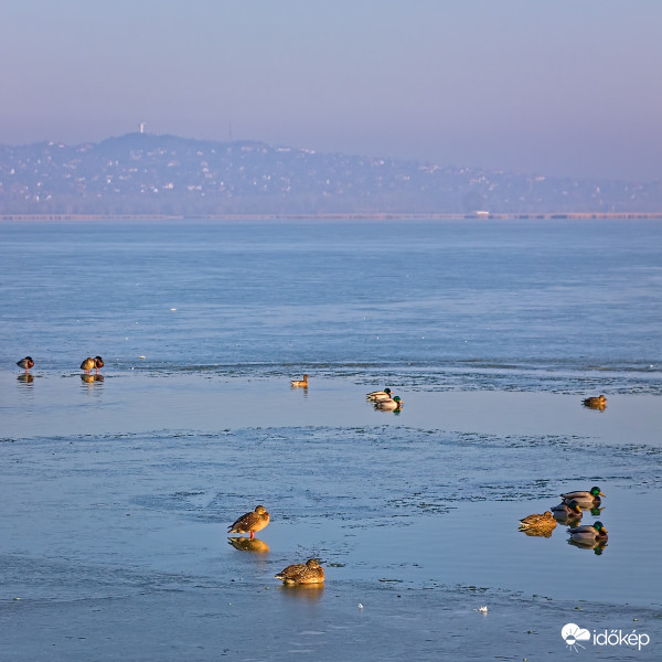Madárparti a léknél