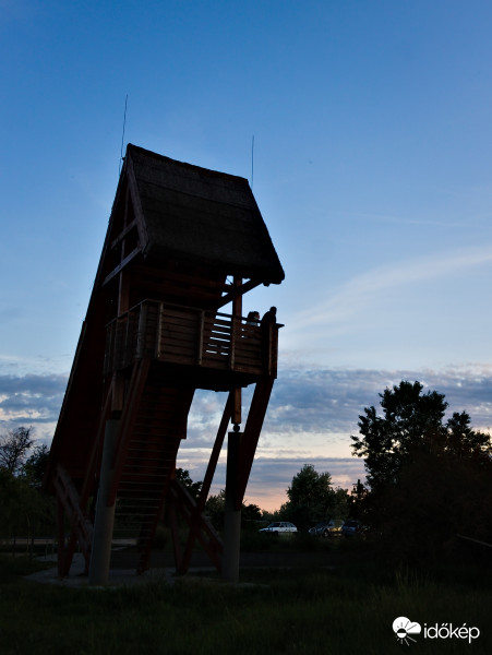 Sarvajc-kereszt, na este