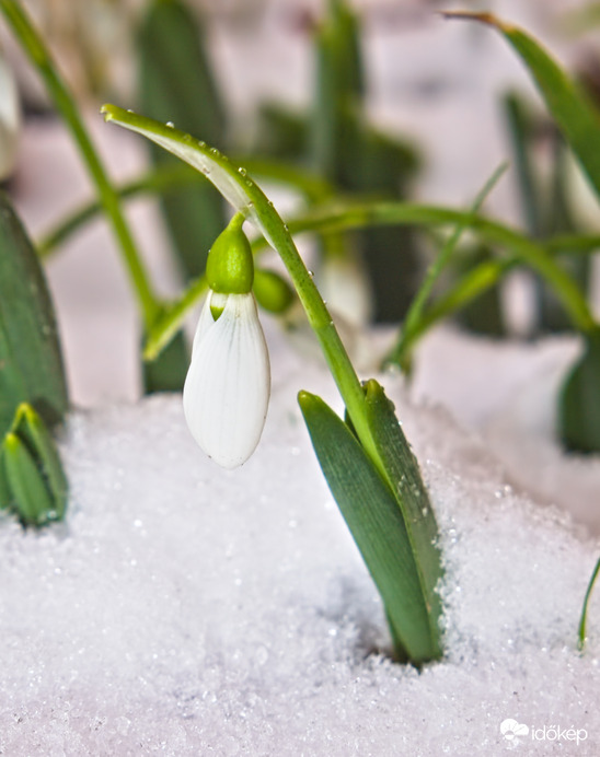 Természetes környezetében :D