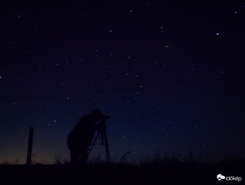 A derült éjszaka lényei