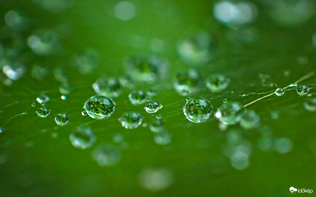 Megérkezett az ősz