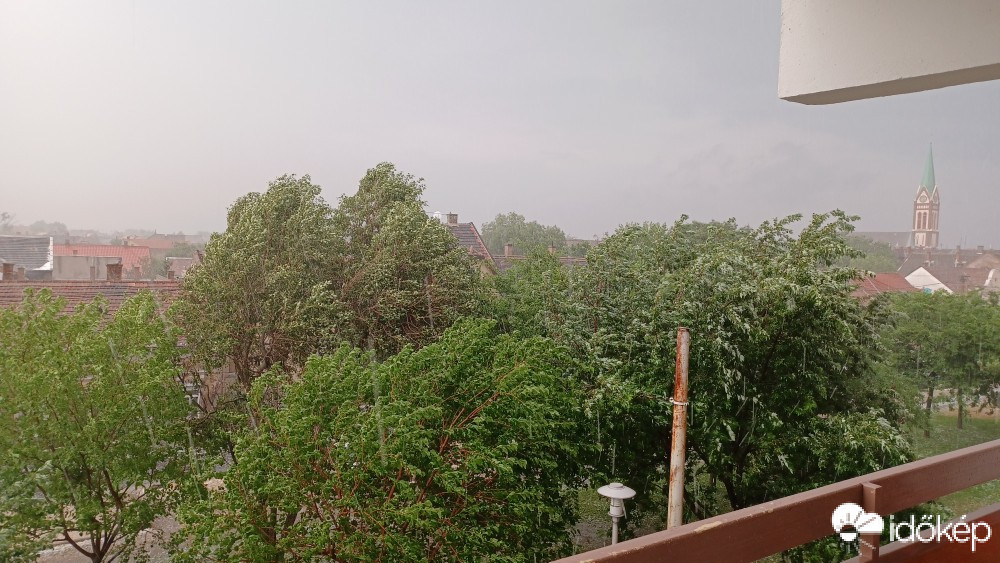 Észlelési fényképek