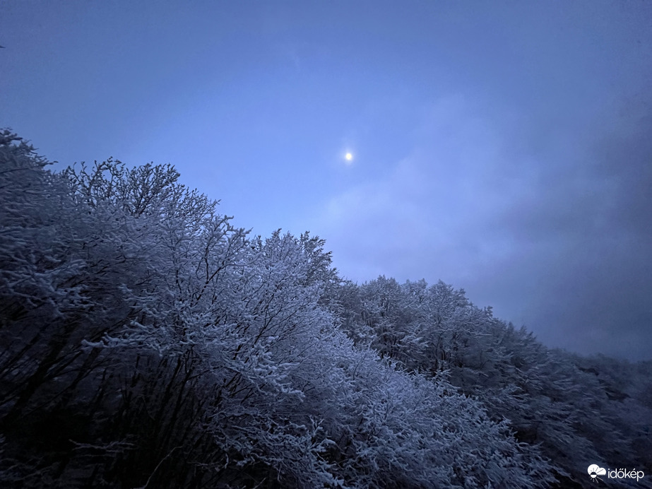 Észlelési fényképek