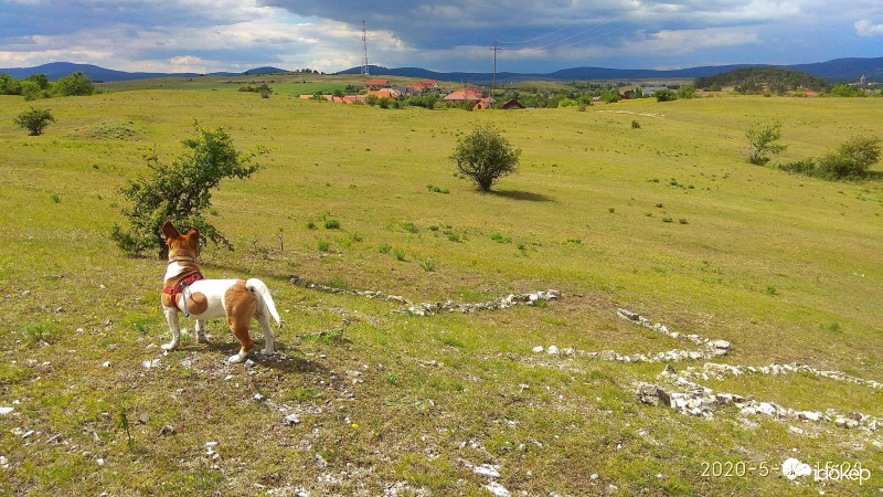 Panoráma