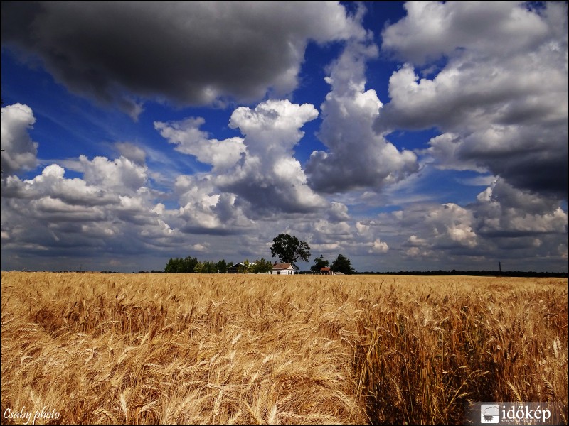 Egy nyár az alföldön...