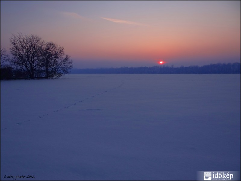 2012.02.10. Csordajárás