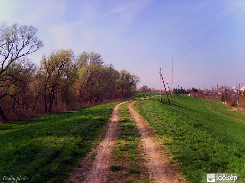 Zöldellő töltésoldal