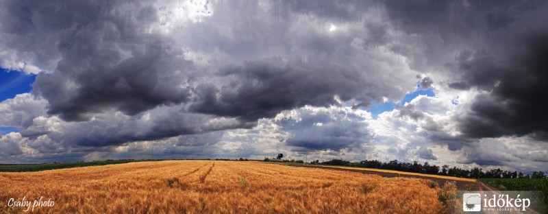  Borongós gabona tábla