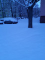 Sopron