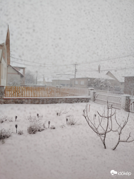 Észlelési fényképek