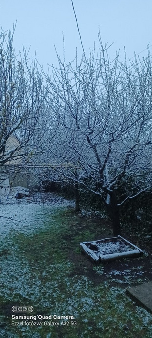 Észlelési fényképek