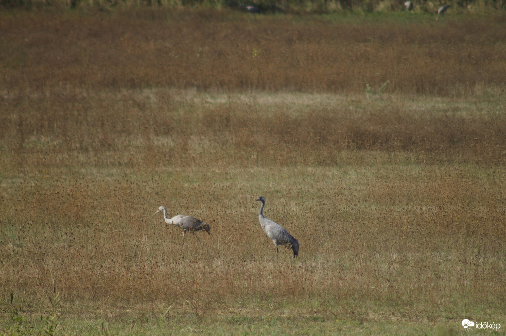 Élelemszerzési szeminárium