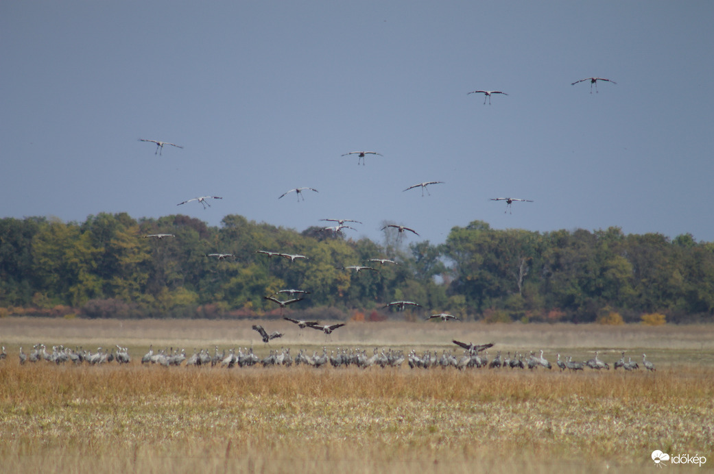 Landolás a Szálka-halom közelében (Hortobágy)