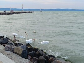 Siófok