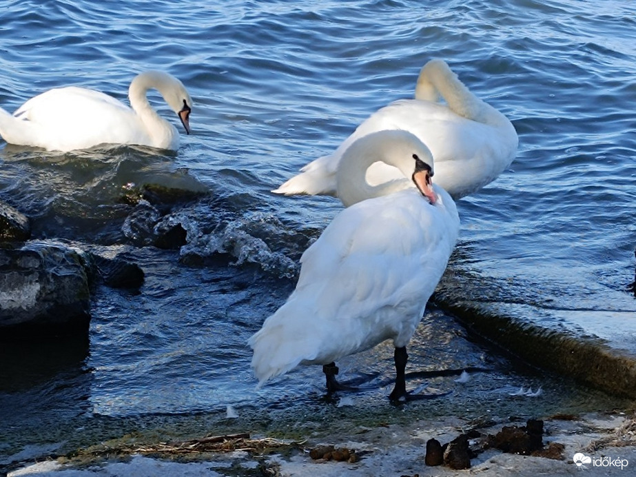 Balatonföldvár