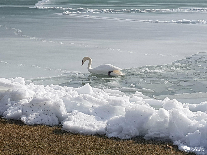 Balaton március 10