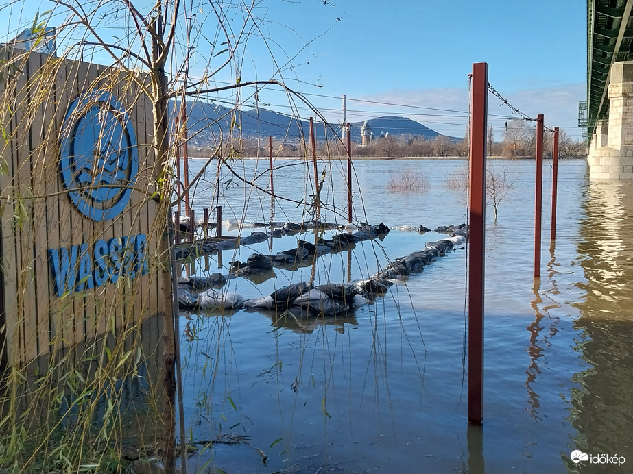 Árvíz a Népszigeten