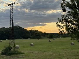 csgabor277 fotója
