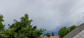 Gyula