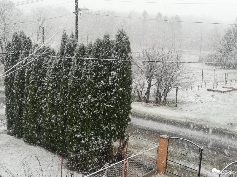 Észlelési fényképek