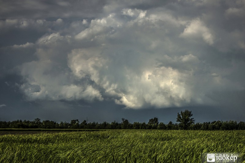 Északi zivatarfelhő 