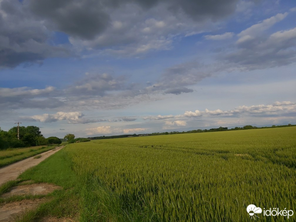 Észlelési fényképek