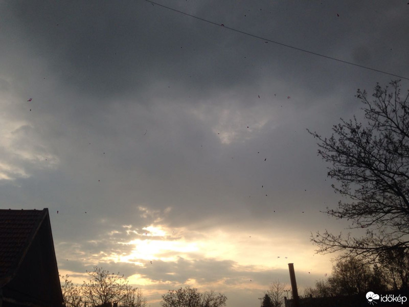 Észlelési fényképek