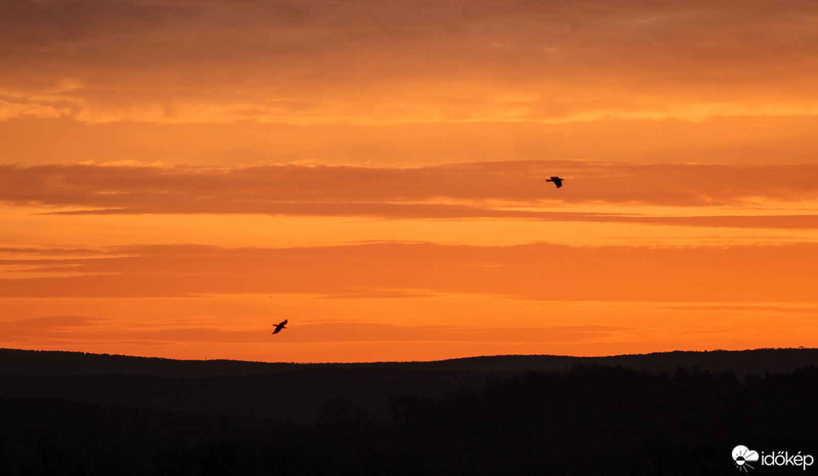 Madarak napkeltében.