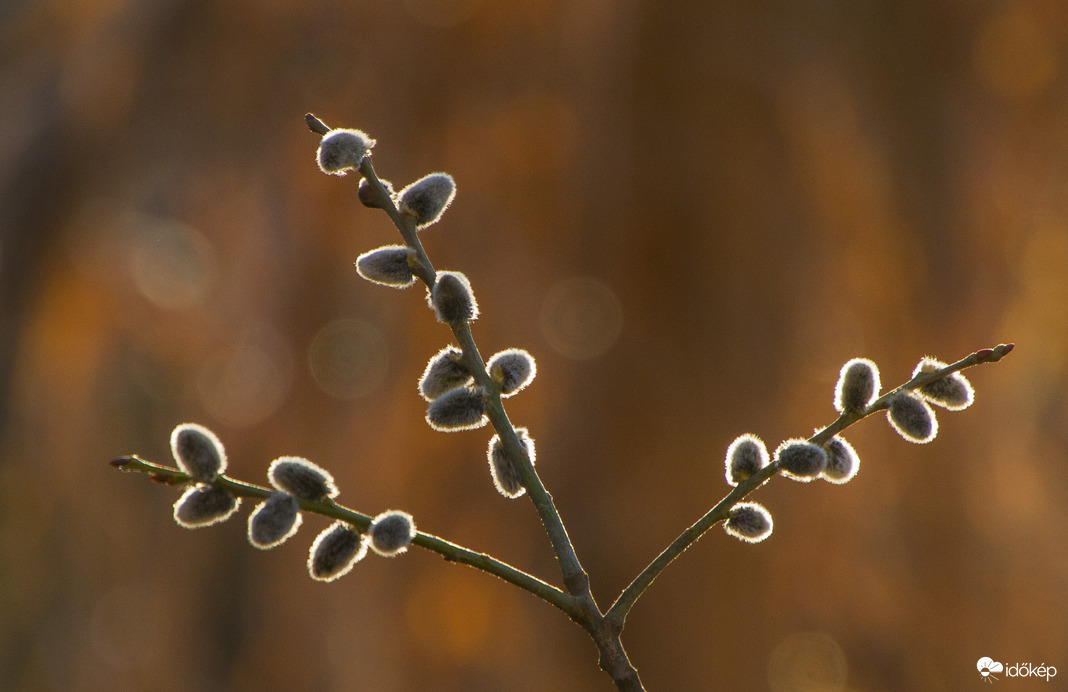 Barkaág napkeltében!