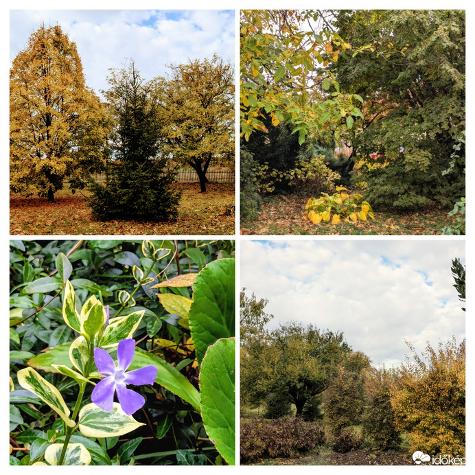 Polgárdi, 30 mm! örül a kertem :)