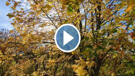 Polgárdi, széles nap