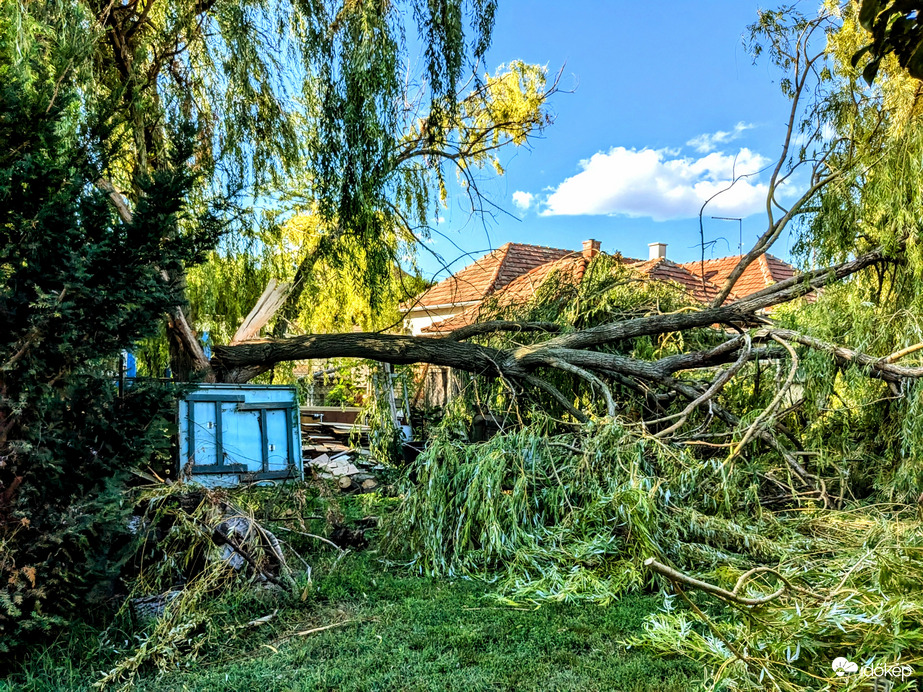 Polgárdi, a viharos szél következménye 