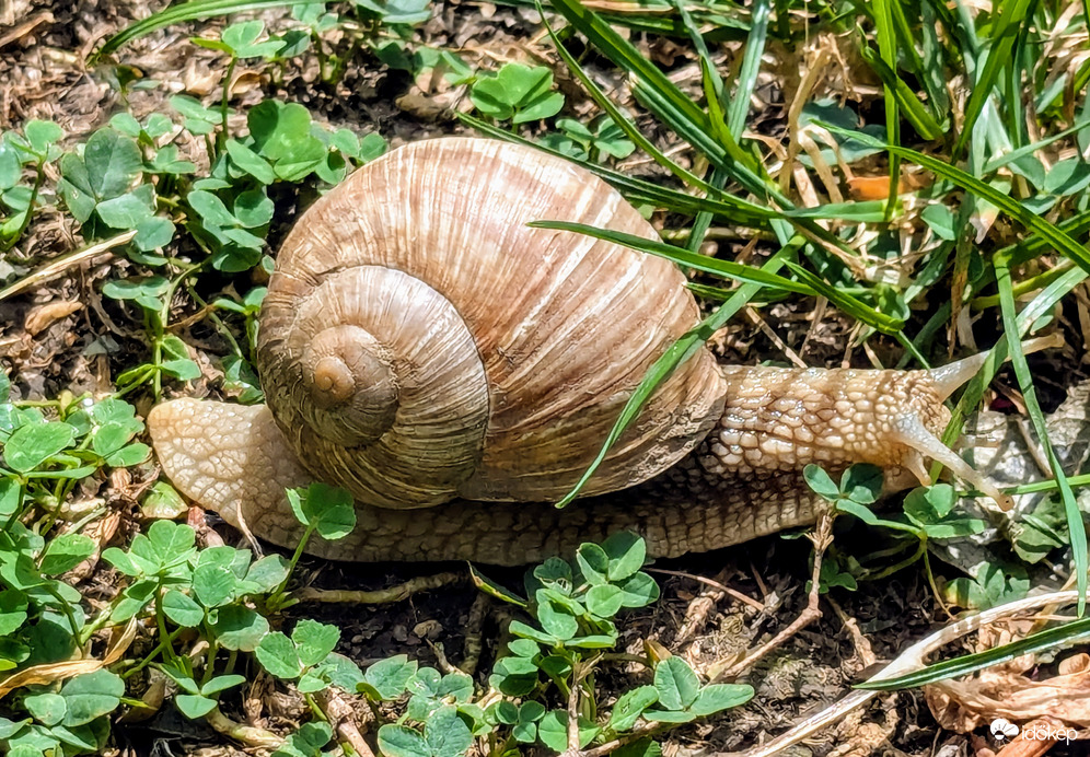 Előbújt, de kisütött a Nap,