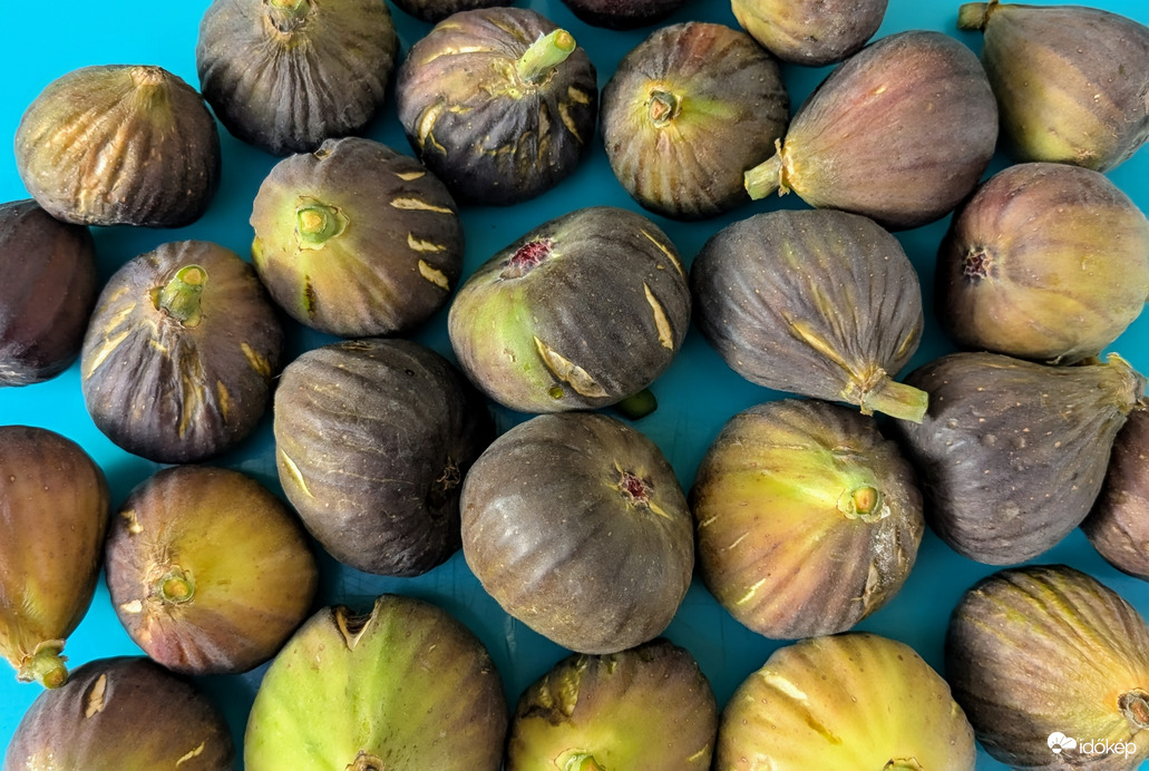 Beérett a "második menet" füge is :)