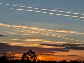 Polgárdi, csíkosan :)