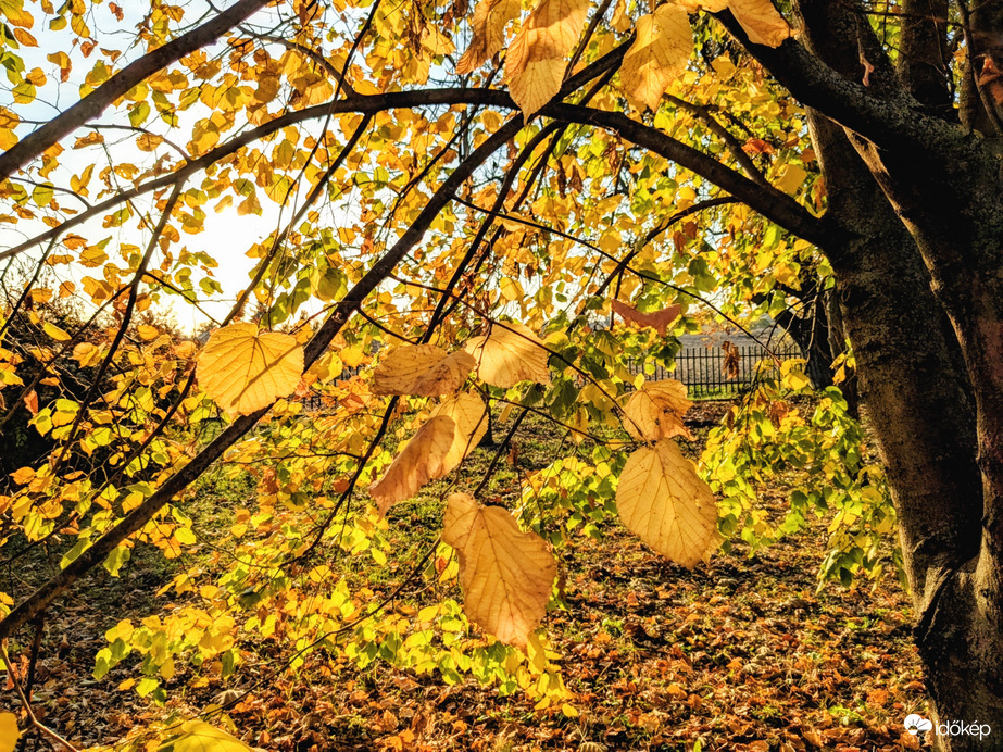 Polgárdi, napsütéses délután :)