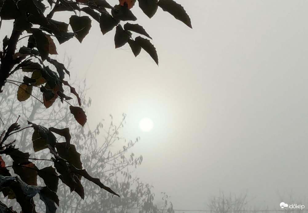 Polgárdi, első ködös reggelen 