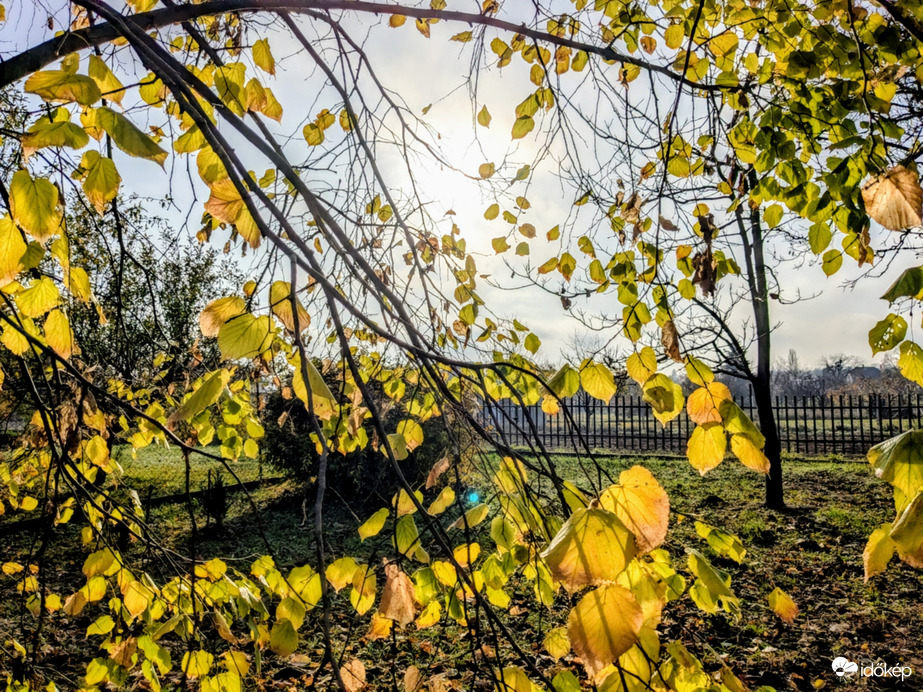 Polgárdi, végre kisütött a Nap! :)
