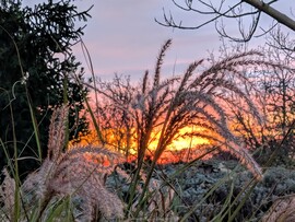 Polgárdi, Naplemente fényei a kertben 