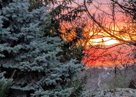 Polgárdi, Naplemente fényei a kertben 