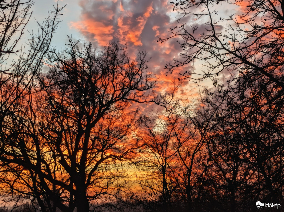 Polgárdi, a fák mögött 