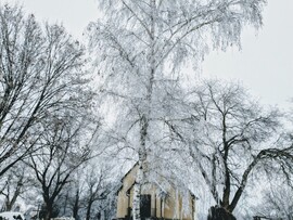 Polgárdi, most a zúzmara szépít. 