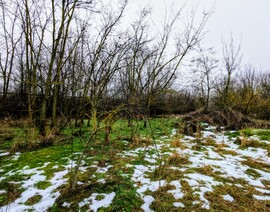 Polgárdi, gyenge eső, É-K-i szellő, +5 C