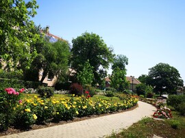 Jászjákóhalma