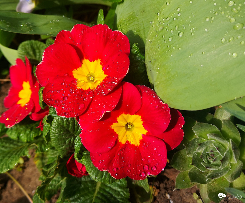 Pár csepp eső esett eddig még 