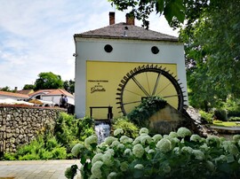 Hotel Gabriella bugás hortenziákkal