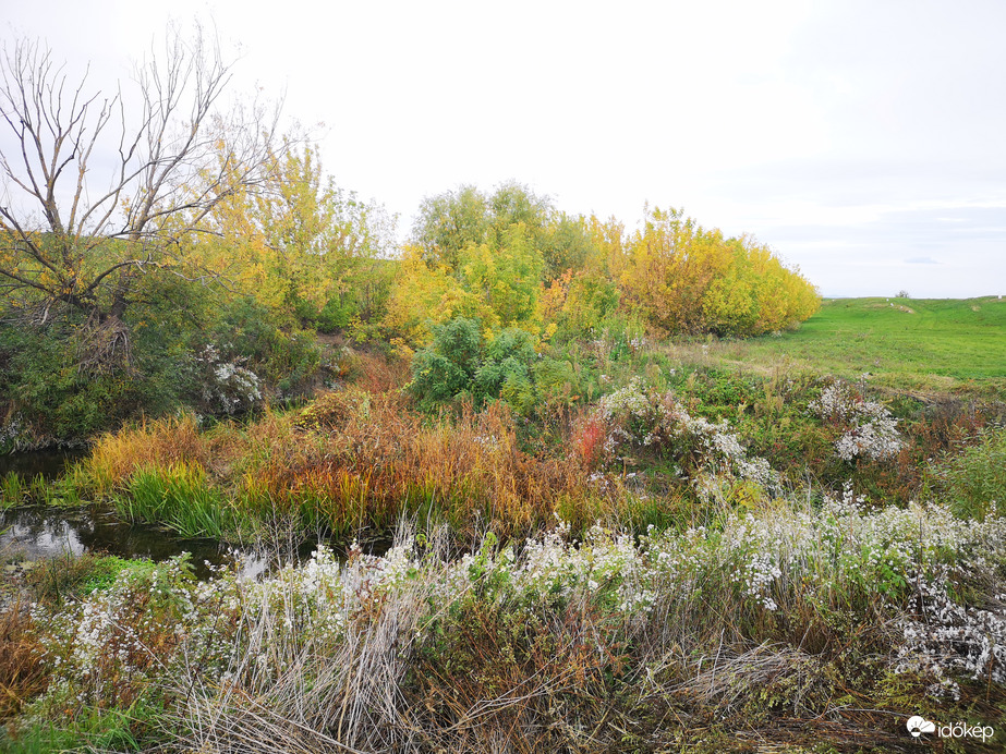 Zagyva-Tarna torkolat, alacsony vízállás 