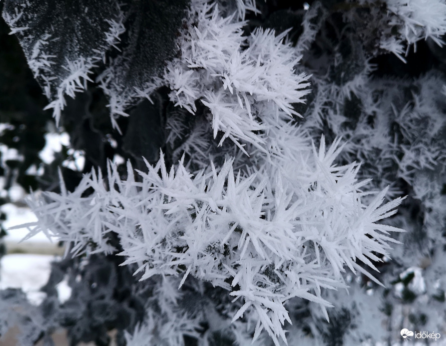 Hófehér szilánkok