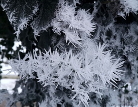 Hófehér szilánkok